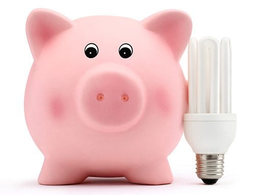 This Little Piggy Went to Market (Part 2 of 2)