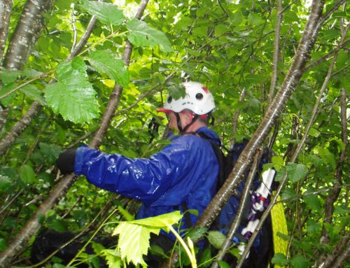 GRATITUDE AND TEAMWORK