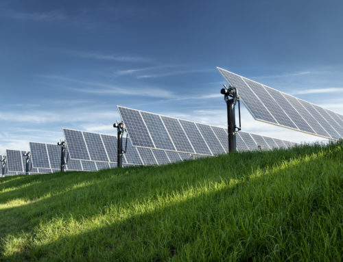 Renewable Energy Growth on the Horizon